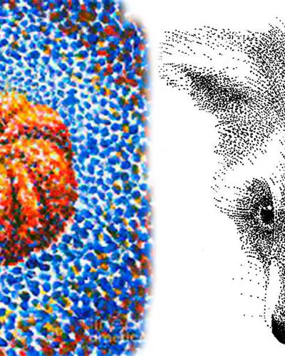 Pointillism vs Stippling