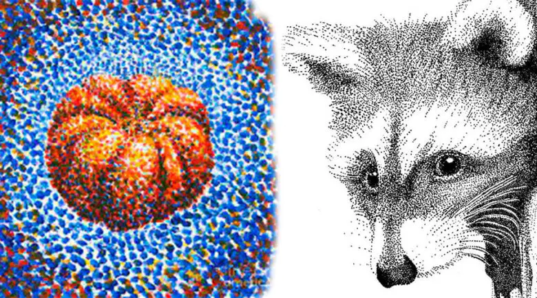 Pointillism vs Stippling